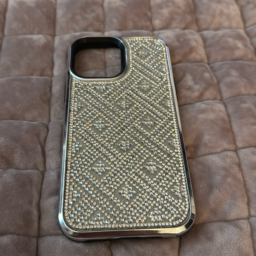 Iphone silver Pro Max case
